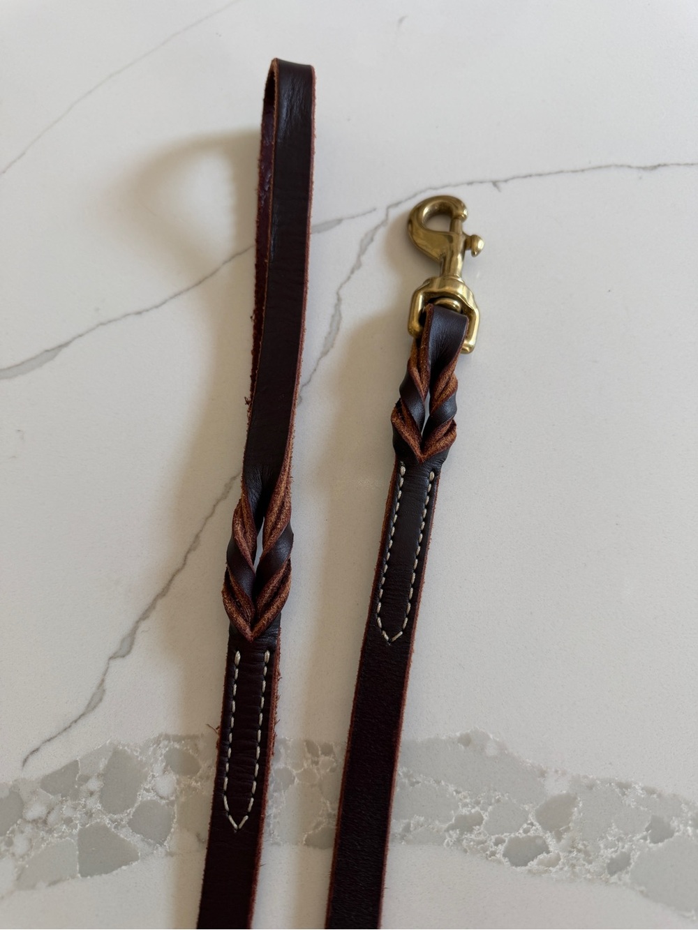 Circle T Brown Braided Leather Dog Leash with Brass Snap